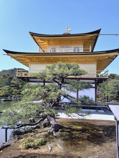 新年あけましておめでとうございます。